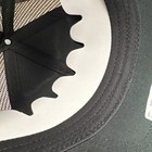Picture 8 of 12