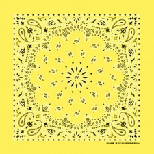 Carolina Creative Bandanna (Yellow) Paisley Print 22" x 22" Hav-A-Hank