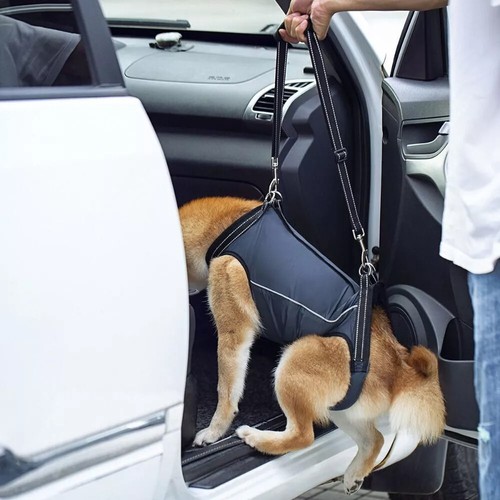 Hunde Hebegeschirr, verstellbares Hebegeschirr, Stützschlinge für Hunde XS - XL. - Bild 18 von 27