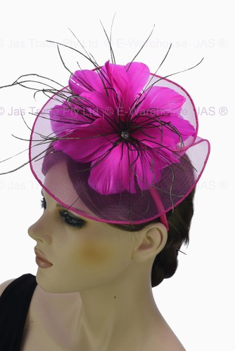 Spring Racing Race Party Melbourne Cup Feather Headband Hairband Clip Fascinator - Bild 11 von 68
