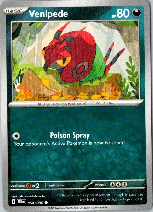 Venipede Black Bolt Pokémon TCG