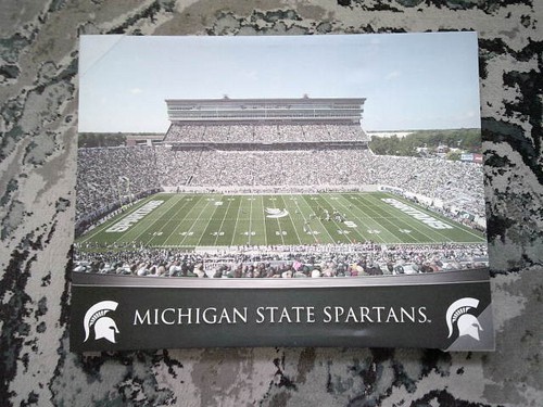 Michigan State Spartan Stadium Canvas Picture Artissimo - Picture 1 of 6