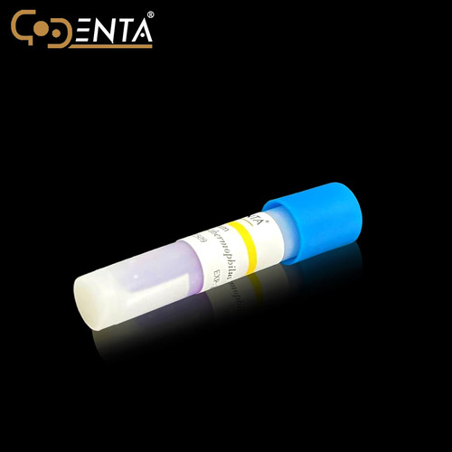 Dental 24hours Steam SterilizationBiological Indicators Ultra Super RapidReadout - Picture 2 of 7