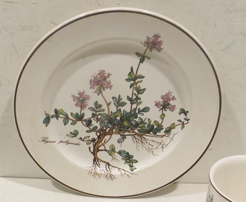 Sammler Konvolut Villeroy & Boch Botanica , 2 Tassen,2 Teller und 1 Deckeldose - Bild 7 von 8
