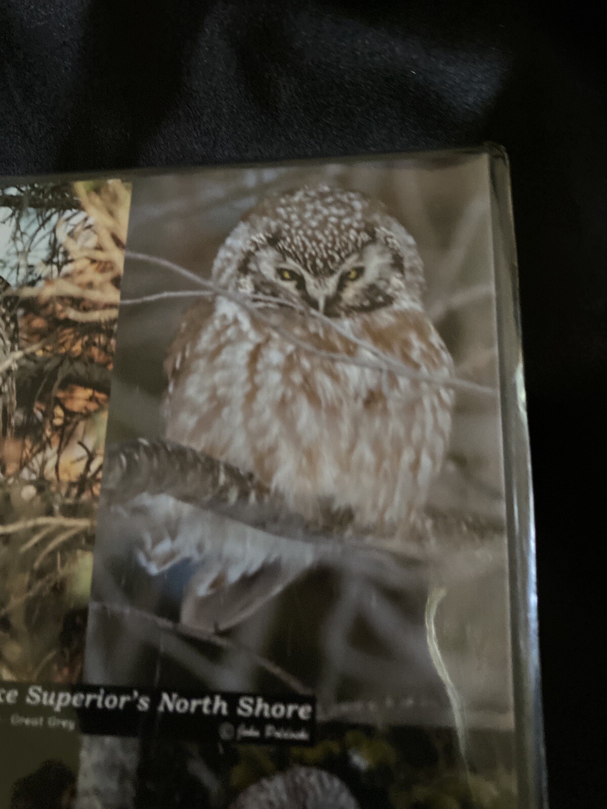 Picture 4 of 6