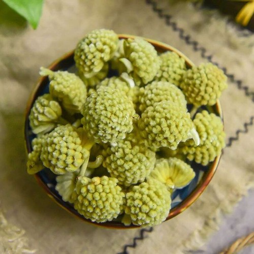 Dried Green Flower Scindapsus Aureus Edgeworthia Chrysantha Makes A Healthy Tea - Imagen 2 de 6