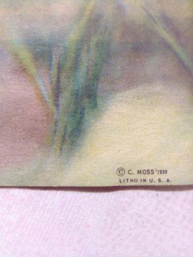 Vintage 1930er-40er Druck mit dem Titel Kameraden hübsches Mädchen Schönheit afghanischer Hund #5262 - Bild 6 von 8