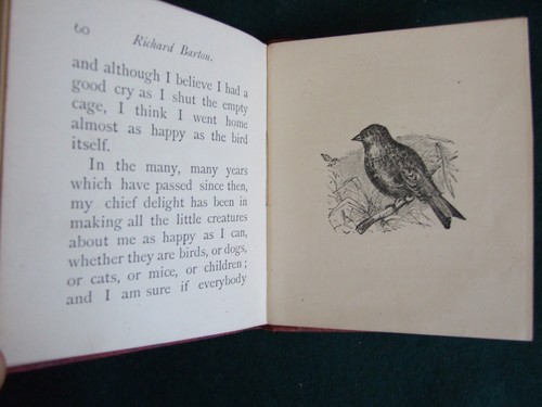 Die winzige Bibliothek, Richard Barton oder der verwundete Vogel, Bray, illustriert, 1873 - Bild 6 von 6