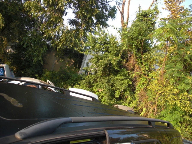 1998-1999-2000-2001-2003 MERCEDES-BENZ W163 ML430 ML320 车厢行李架铁路 — 第 2/4 张图片