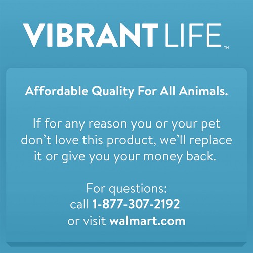 Vibrant Life Plastic Pet Food Storage Container with Locking Lid, 25 lb Capacity - Picture 7 of 7
