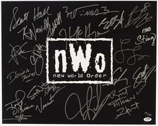 Hulk Hogan Scott Hall Sting Bret Hart Great Muta+ Signed NWO 16x20 Photo WWE WCW
