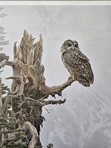 Vintage Terry Isaac Spotted Owl Framed Under Glass Print Numbered 295/950 Signed - Picture 8 of 11
