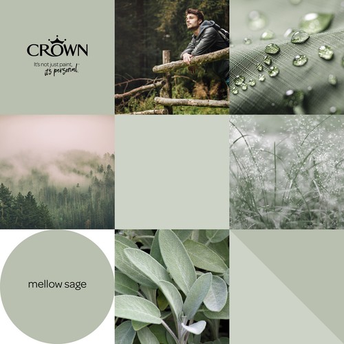 Crown Emulsion Paint Matt or Silk All Colours 2.5L - Picture 570 of 1,144