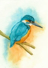 Kingfisher, Wildlife Bird Print from my own Original Watercolour Painting