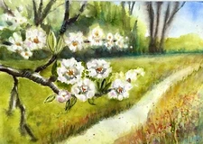 Original Watercolor Painting A4 landscape Spring Cherry branch white Flowers