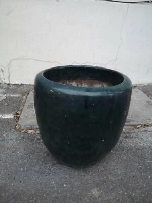 Glazed Ceramic Medium Sized Plant Pot Pots Garden Beds Gumtree Australia Inner Sydney Alexandria 1252058356