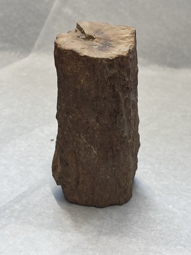 Petrified Wood 4” (12.30 Oz) - Picture 3 of 8