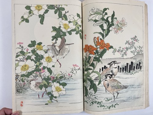 Japanese Woodblock Print Book “Bairei Kachogafu” all 2 volume Kono Bairei 1899 - Picture 14 of 24