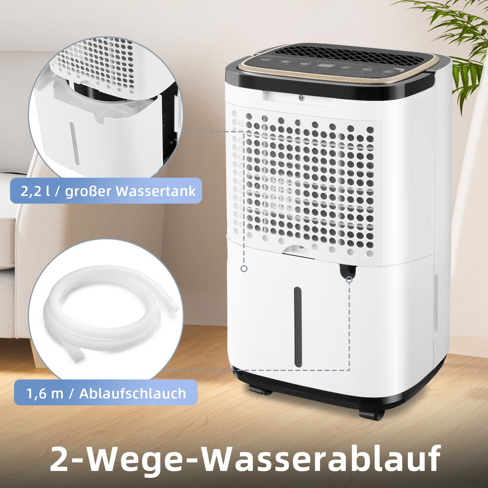 Bild 19 von 81