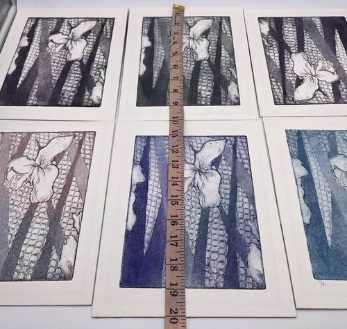 Set Of 6 Etching Artworks Featuring Floral Motifs, Signed and Numbed 3/10 - Picture 11 of 12