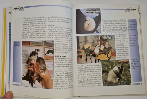 Frettchen - ein Buch für Liebhaber und Halter - Bild 4 von 6