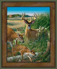 Animal Deer Fabric Feast In Woods Doe Wild Wings Springs CP66450 36"X44" Panel