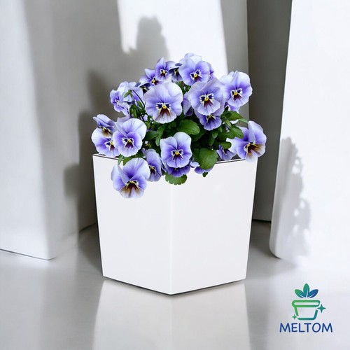 Blumenkübel Hochglanz Eckig Einsatz Übertopf Blumentopf Weiß 4 Größen SET - Bild 10 von 21