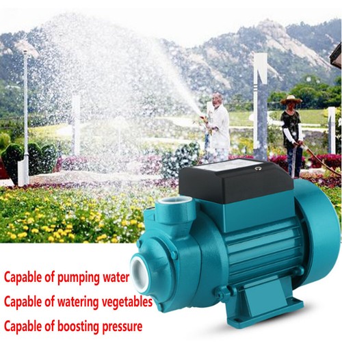 Solar DC Pump Large Flow Vortex Pump For House Water Supply Irrigation 12v 24v - 第 1/8 張圖片