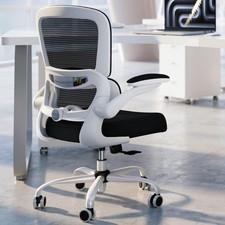 Office Chair - Ergonomic Desk Chair with Adjustable Lumbar Support, Mesh Comp...