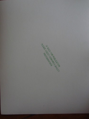 MARIA GAMBARELLI NY EDWARD O BAGLEY BALLET STAR PHOTO - Picture 2 of 2