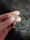 Picture 4 of 5