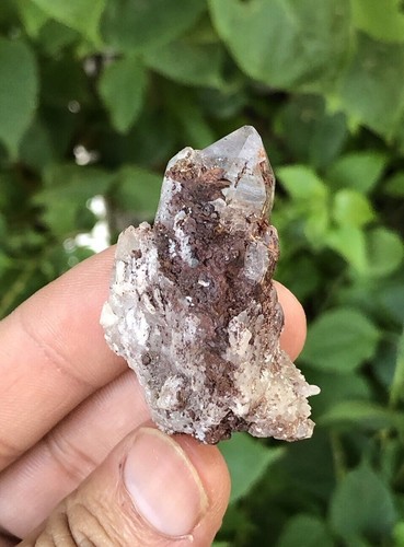 Natural rare quartz with sagenite rutile and siderite combination 29 Grams - Picture 5 of 7
