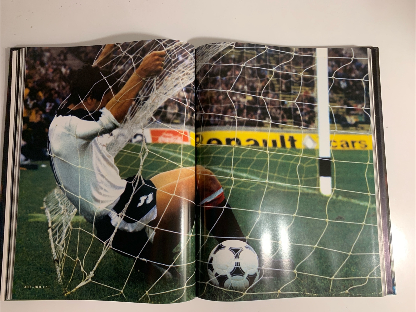 Bild 12 von 12