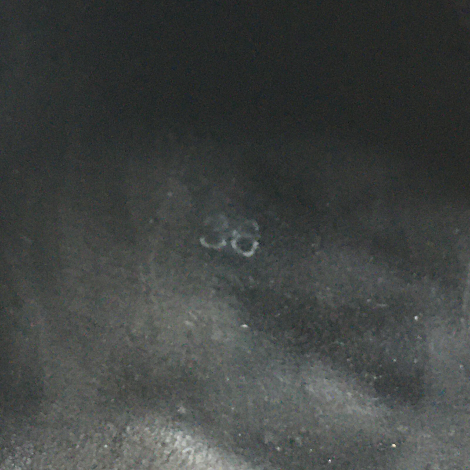 Picture 14 of 16