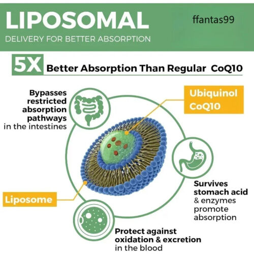 1000mg Liposomal Coenzyme Q10 Soft Capsules - Picture 2 of 6