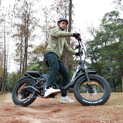 FAFREES F20 X-Max e-Bike 20 Zoll Elektrofahrrad 750-Watt Klapprad Cityräder 30Ah - Bild 3 von 46