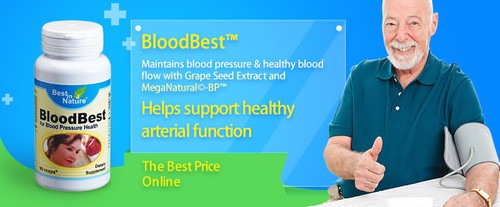 Best in Nature BloodBest™ (Blood Pressure Health) 90 capslues - Picture 4 of 4