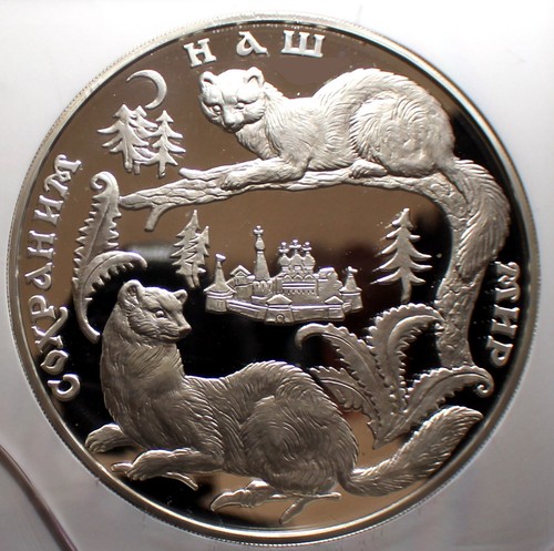 Russian 1996 1 Kilo Silver Proof 100 Rubles Sables-Series Save our World #200 - Picture 3 of 6