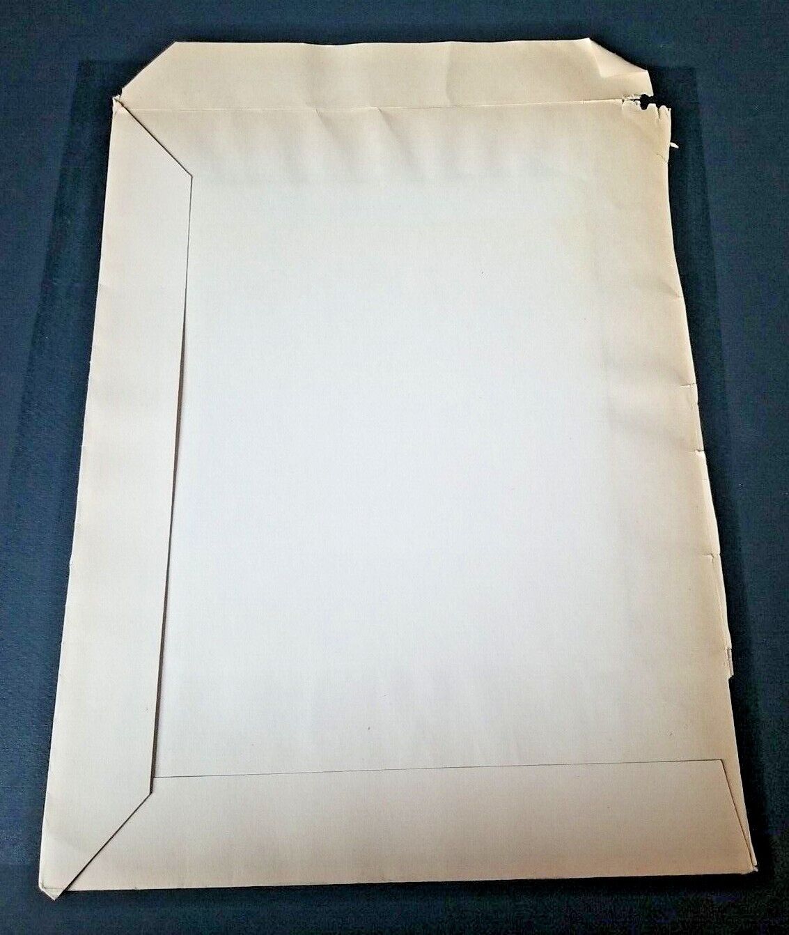 Picture 5 of 5