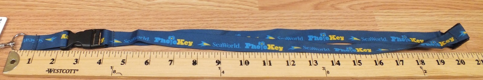 Picture 6 of 6