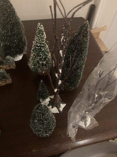 DEPT 56 VILLAGE Landscape 20 Plus Additional Pieces Original Box * Missing Snow! - Picture 23 of 24