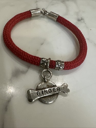 Vintage Cat/ Dog Collar Silver plate Ginger Name Tag