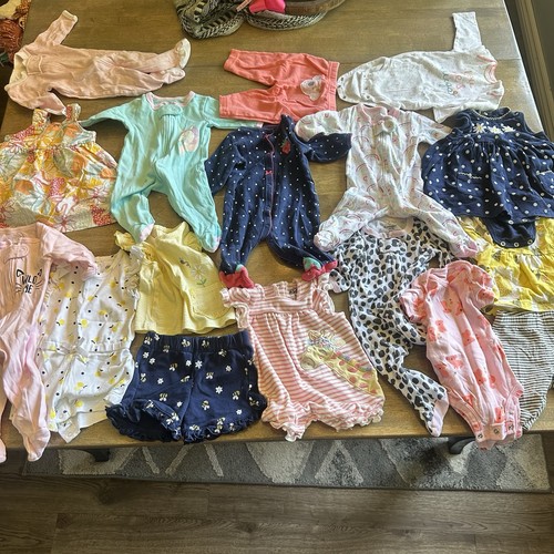 17 Piece Baby Girl 3 Month Lot Body Suits Etc Carter Plus Mix Of Other Brands