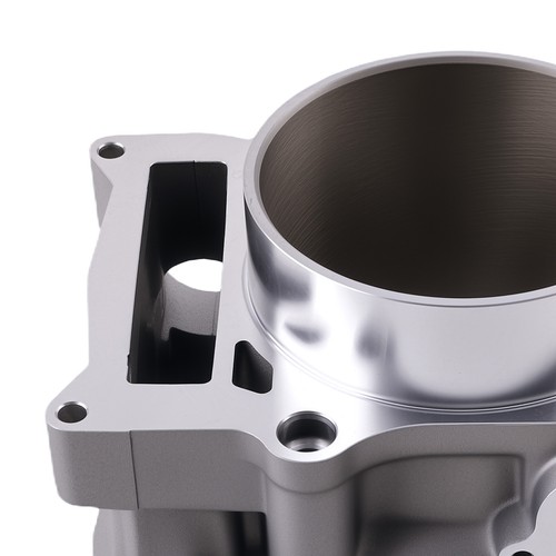 Motor Cylinder Kit for Yamaha Raptor 700 YFM700R All Models 2006-2020 102mm - Foto 3 di 12