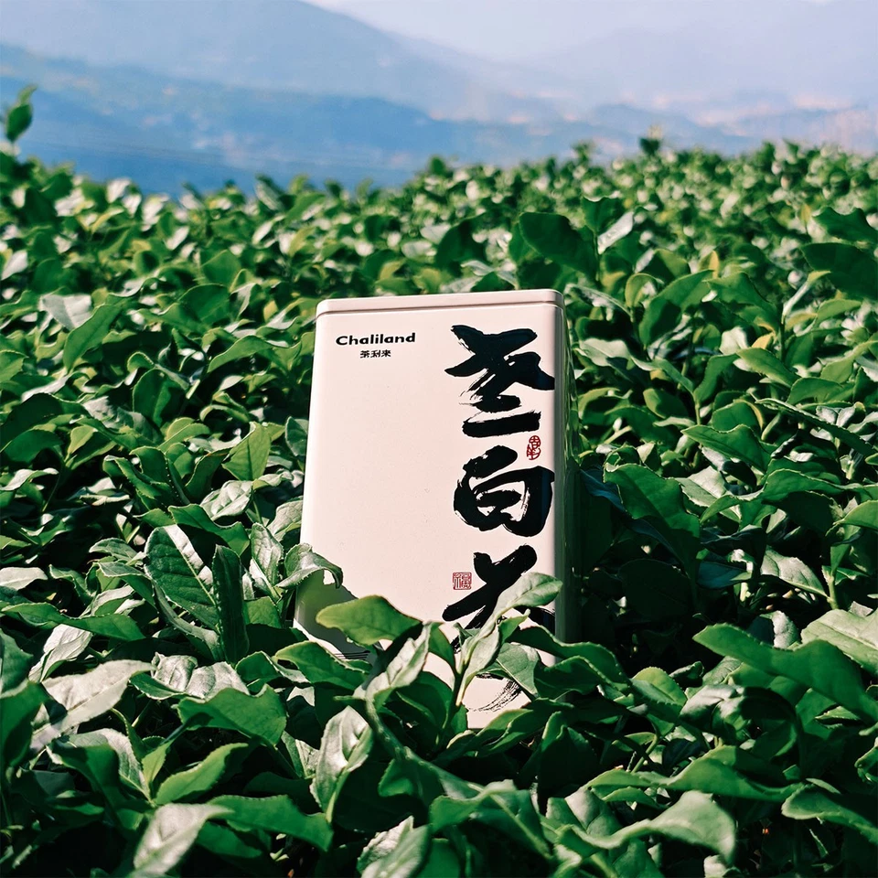 Fuding белый чай, мед сладкий, натуральный антиоксидант, чистый-06 - Изображение 2 из 4