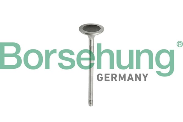 Einlassventil Borsehung B10343 FüR Mercedes Klasse Model S204 W204 C204 C207 SLK-image