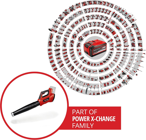 Professional Spazzafoglie a Batteria GP-LB 36/210 Li E-Solo Power X-Change (Ioni - Foto 2 di 11