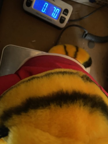 Lote de 5 peluches vintage Garfield 1978 en adelante ¡todos LN con etiquetas adjuntas! "7,5 a 20""" - Imagen 9 de 23