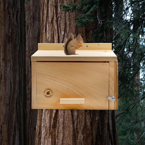 Squirrel Nesting Box, Handcrafted Wood Winter (XL), Beige - Picture 5 of 9
