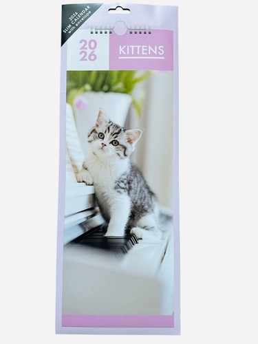 Schlanker Kalenderplaner 2025 verschiedene Szenarien (wählen Sie Ihre) - Bild 51 von 52